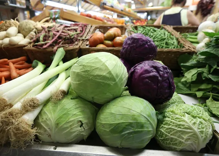 Ana Maria - Townhouse